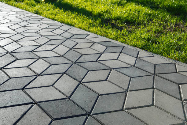 Best Professional Driveway Pavers  in Meadow Lake, NM