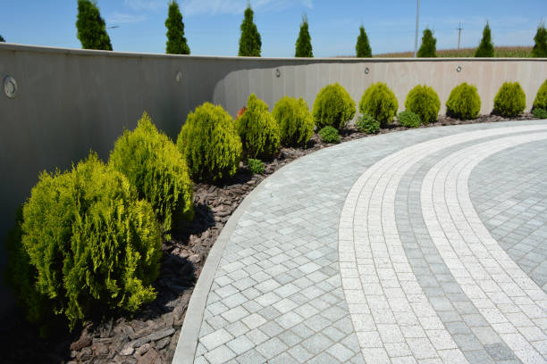 Best Custom Driveway Pavers  in Meadow Lake, NM